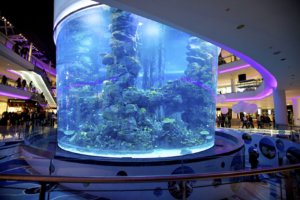 Aquadream – Morocco Mall Aquarium