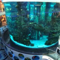 Aquadream – Morocco Mall Aquarium