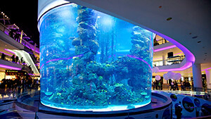 Aquadream – Morocco Mall Aquarium